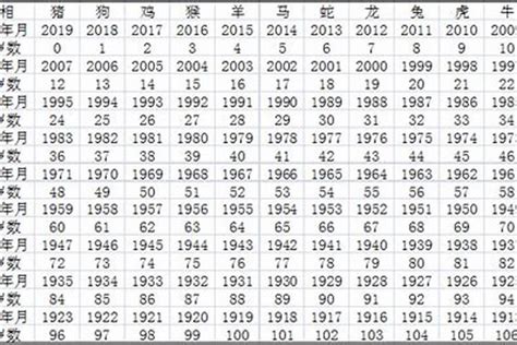 1996年出生|1996年今年多大 1996年出生现在几岁 九六年到2024年多大了